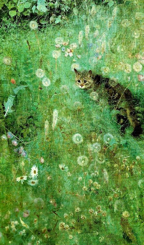 katt pa blommande sommarang, bruno liljefors